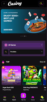 Exploring the Excitement of Online Gaming at Casiny1