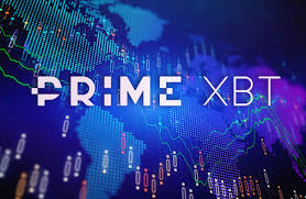 Understanding the Dynamics of PrimeXBT Price