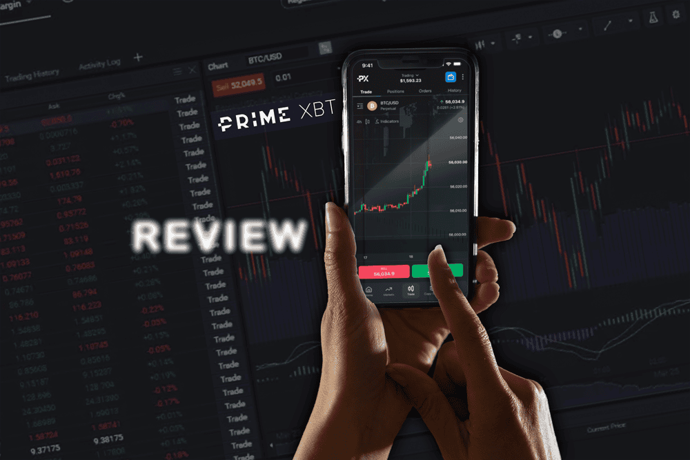Understanding the Dynamics of PrimeXBT Price